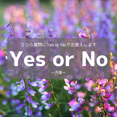 Yes or No占い【24時間以内に鑑定】