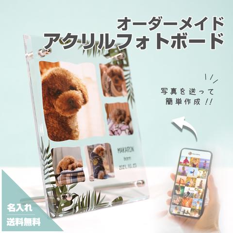 アクリルフォトボード B14 ペット オリジナルグッズ 犬 猫Instagram インスタ ハムスター うさぎ フェレット スローロリス プレゼント 恋愛 オリジナルグッズ 写真 ギフト 名入れ