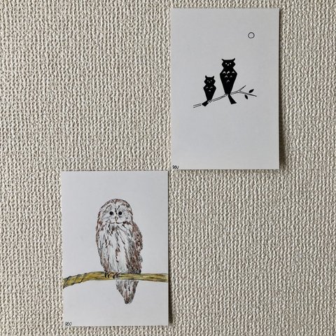 『ふくろう』&『ミミズクの影』2枚組イラスト 