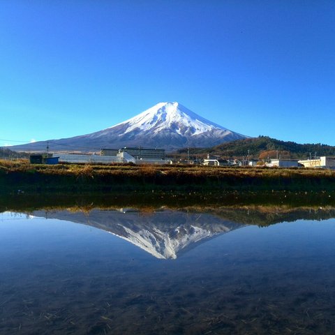 世界遺産 富士山 写真　水田逆さ富士　A4又は2L版 額付き