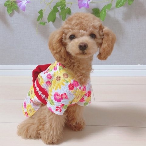犬服 浴衣【向日葵＆桜】