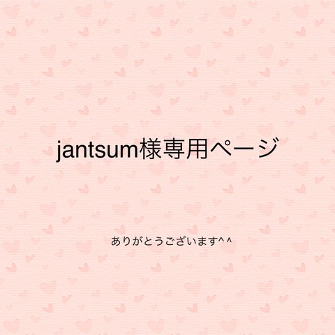 jantsum様専用ページ