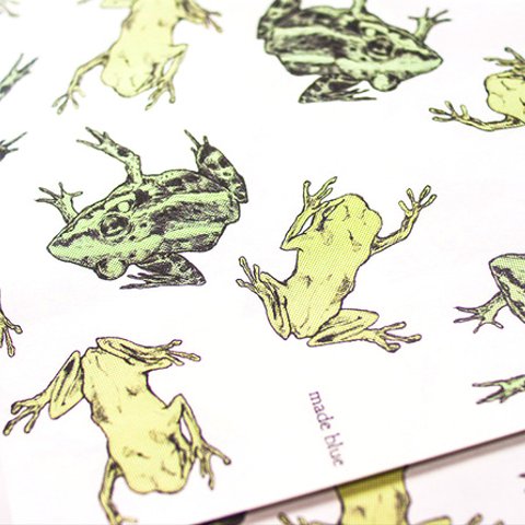 Frog - Wrapping paper