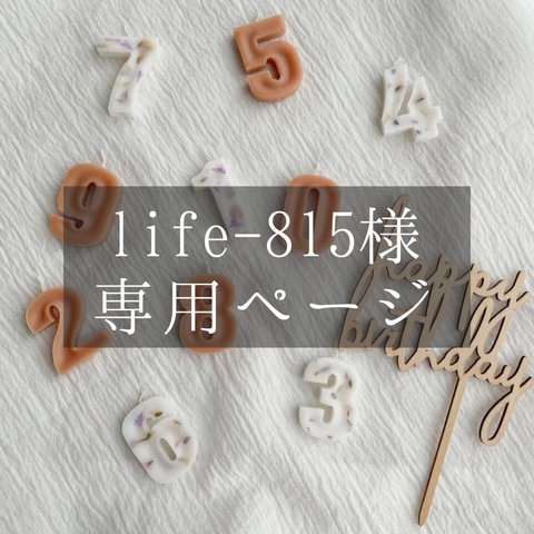 life-815様専用ページ