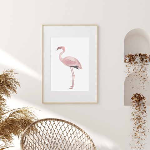 フラミンゴ アートポスター (16_flamingo)
