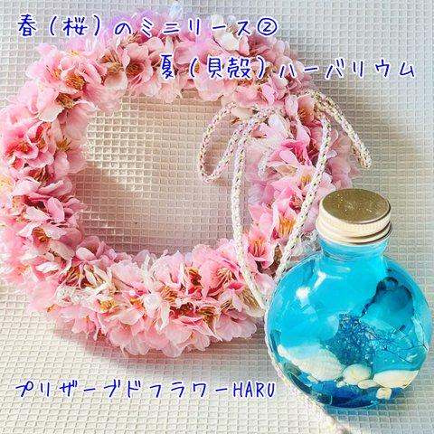 【最終価格！】【☆割引中☆】春(桜)ミニリース②と夏(貝殻)ハーバリウム