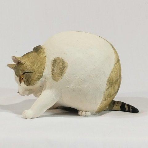 でぶ猫もんじゅ　手が出る