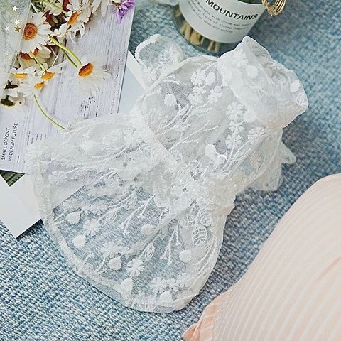 White lace dress（ご予約）