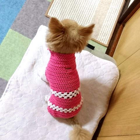 犬服 サマーセーター (Z5) 約1号サイズ