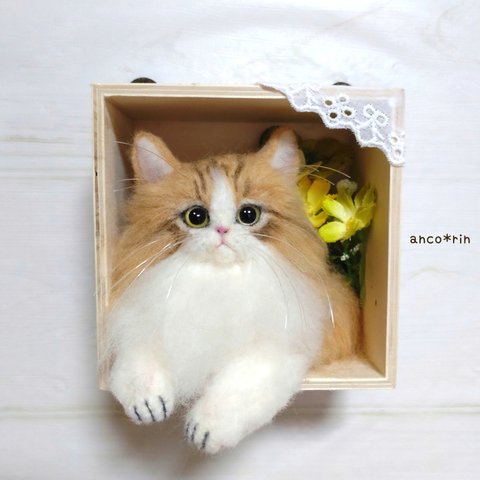 【新作】 羊毛フェルト 猫 ノルウェージャンフォレストキャットの立体フレームボックス