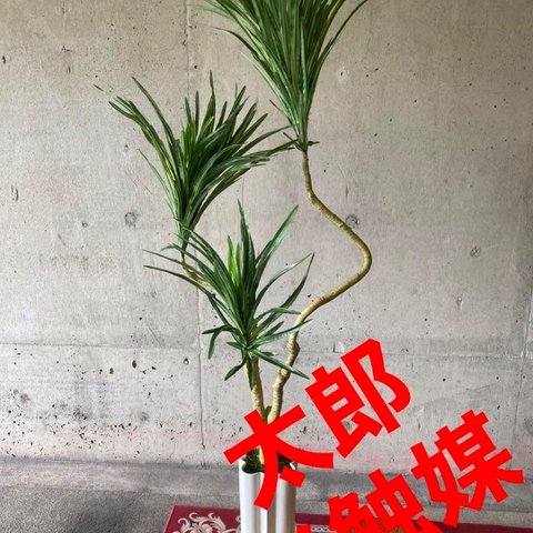 光触媒　人工観葉植物　ウォールグリーン　フェイクグリーン　コンシンネ13050