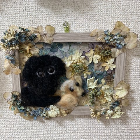 黒ラブラドールとミニチュアダックスと紫陽花