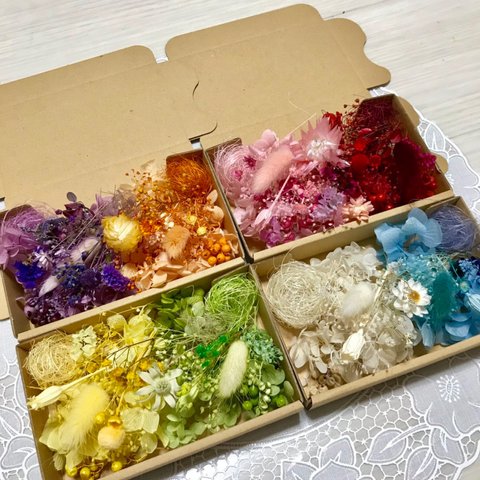 色んなカラー揃う4箱セット＊ハーバリウム 花材ドライフラワー  花材セット