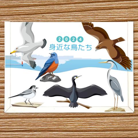 2024年　身近な鳥たち　卓上カレンダー