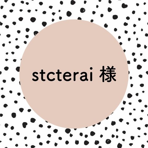 stcterai様専用ページ