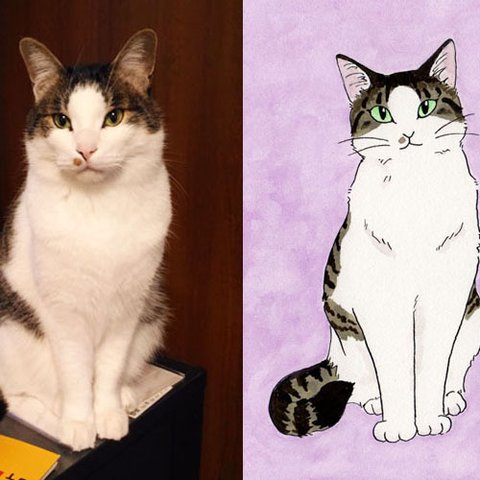 猫ちゃんの似顔絵オーダー（はがきサイズ、額付き）