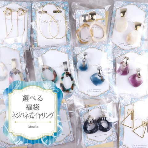 福袋★ネジバネ式イヤリング【minne限定】