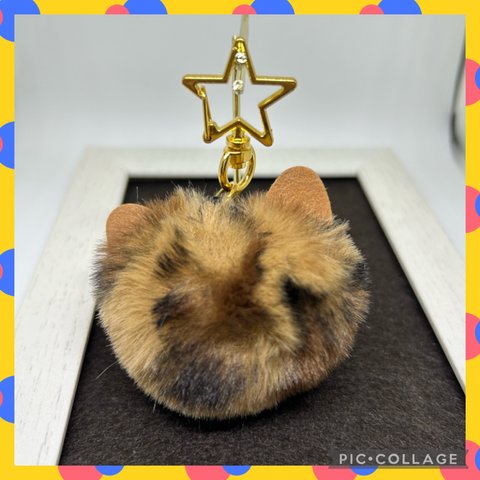 【数量限定】にゃんこファーチャーム　星ゴールド