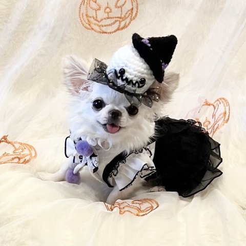 犬 ハロウィン ゴースト おばけ 帽子 ♡ 猫 ペット ハロウィン帽子  被り物 かぶりもの 冠 かぼちゃ ニット