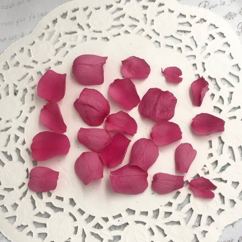 プリザーブドローズストロベリー花びら販売❣️レジンアクセサリーハンドメイド花材パーツ