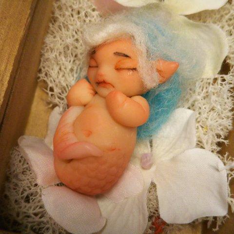 🐚sleeping mermaid baby🐚