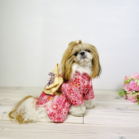 犬服  犬用着物  4号  桜  ピンク