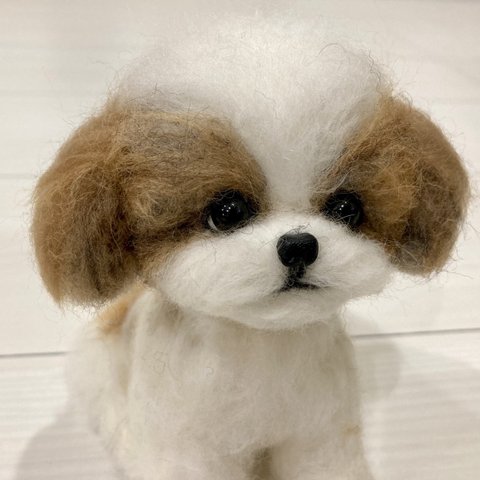 羊毛フェルト　犬　シーズー