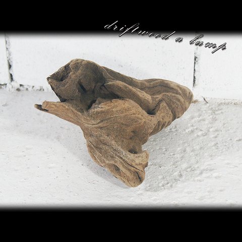 流木 昆虫 テラリウム　塊　止まり木　_ka0085