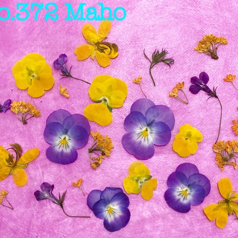 ♡押し花素材♡yellow×purpleのお花セット♡