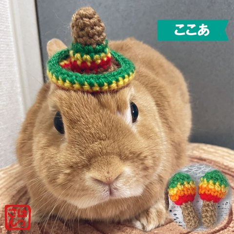 うさぎ用🐰小さいメキシカンハット《お好みでマラカスもどうぞ》