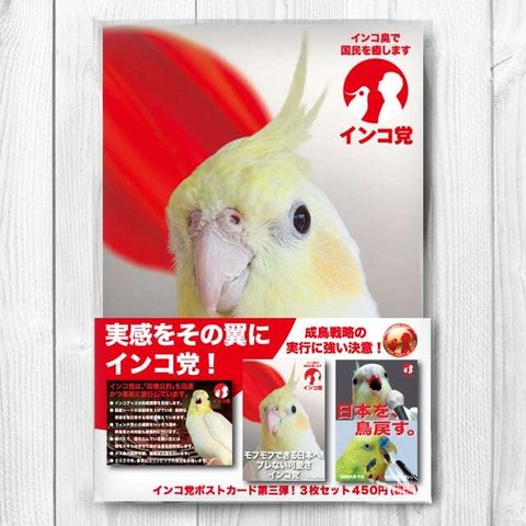 インコ党 第三弾 ポストカード３枚セット