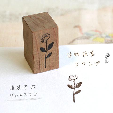 植物採集スタンプ：『梅花空木（バイカウツギ）』