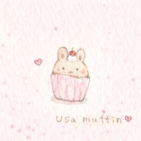 usa muffin♡