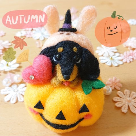 ハロウィン かぼちゃ ダックス ★ブラックタン 犬 羊毛フェルト ダックスフンド