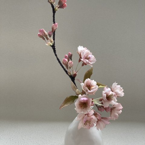クレイフラワー　八重桜