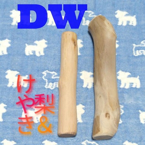 DW.けやき梨の木新品.犬用おもちゃ、小さめ中型犬向け歯固め、かじり木