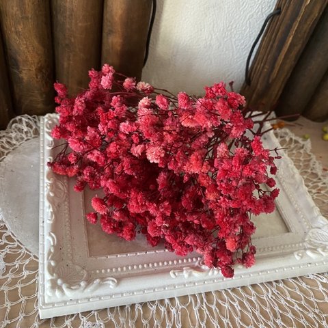アンティークプリザーブドカスミ草レッド小分け❣️ハンドメイド花材プリザーブドフラワー