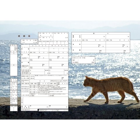 デザイン婚姻届 コンビニプリント婚姻届 『 お散歩ねこ』