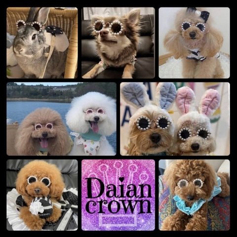 大人気♥️パールサングラス♡4カラー　わんちゃん♡ねこちゃん 新発売 daiancrown ペットアクセサリー