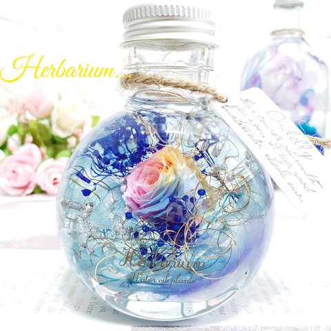 ꫛꫀꪝ✧‧˚*:Herbarium.:*