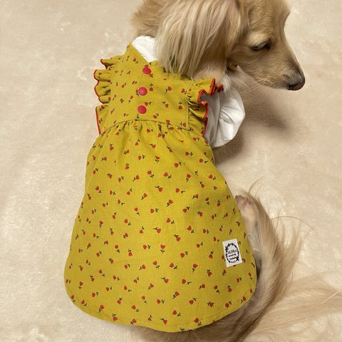 犬服★ パフスリーブ　ドッキング　ワンピ　イエロー　チューリップ　ダックス