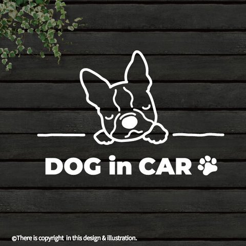 DOG IN CAR/ ボストンテリア【カッティングステッカー】手書きわんこ