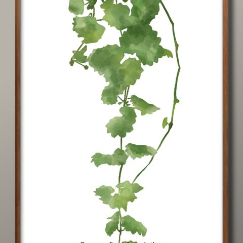 1-7718■ポスター　A3サイズ　『ボタニカル 植物』　アート　イラスト　北欧　デザイン　上級マット紙
