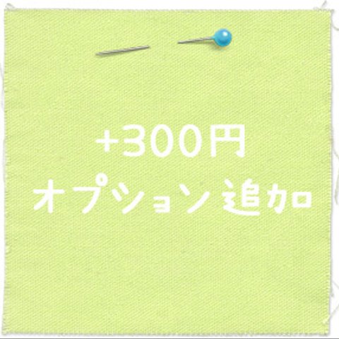 【+３００円】 オプション追加