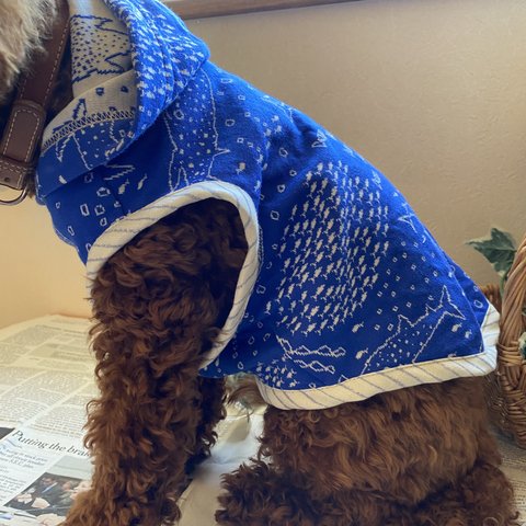 犬服　フード付き　タンクトップ　青色　水族館柄　MS
