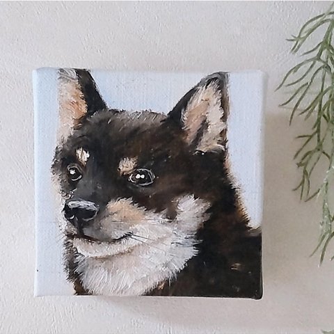 柴犬　油絵