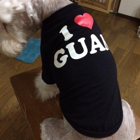 I LOVE CUAM