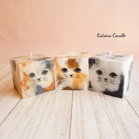 Cute cat cube