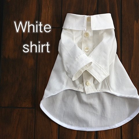 犬服♡ シンプルホワイトシャツ  