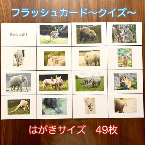 動物クイズカード　〜誰のしっぽ？手？模様？〜